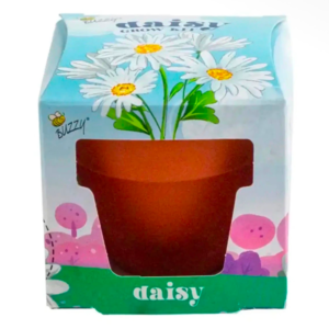 Kids Mini Terracotta Daisy Grow Kit