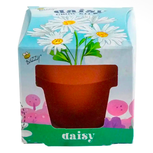 Kids Mini Terracotta Daisy Grow Kit