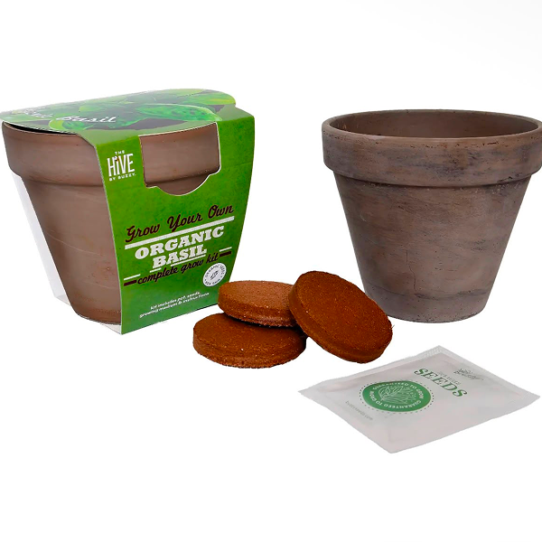 Organic Basil - Image 2